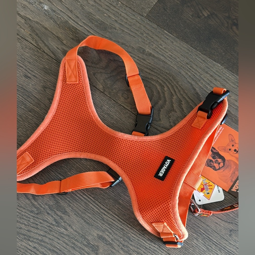 Dog harness and pumpkin leash bundle. NWT